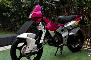 FIFTY TOP EVOLUTION