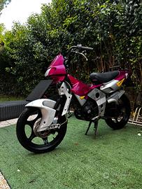 FIFTY TOP EVOLUTION