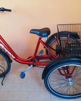 Bici tre Ruote elettrica 