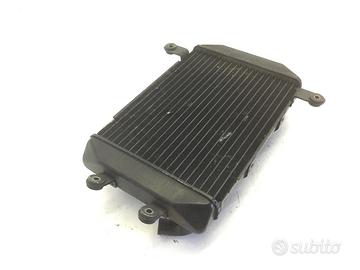SUZUKI BURGMAN AN 250 RADIATORE ACQUA LIQUIDO RAFF