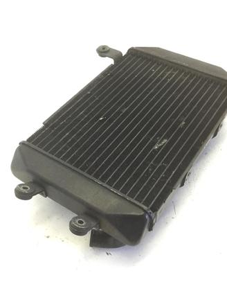 SUZUKI BURGMAN AN 250 RADIATORE ACQUA LIQUIDO RAFF