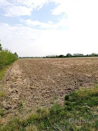 Terreno agricolo