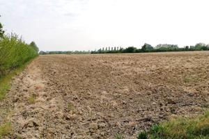 Terreno agricolo