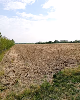 Terreno agricolo