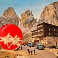 Cartolina Passo Sella con 2 vere stelle alpine