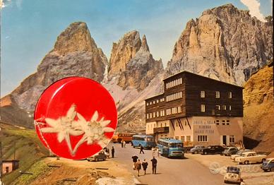 Cartolina Passo Sella con 2 vere stelle alpine