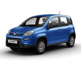 FIAT Panda 1.0 FireFly S&S Hybrid - (IMMAGINI...