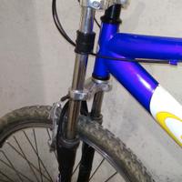 Bici Mountain bike 