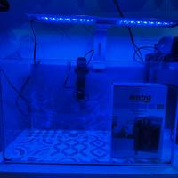 Minireef Plafoniera Skimmer Termostato Acquario