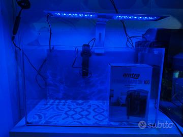 Minireef Plafoniera Skimmer Termostato Acquario