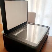 Stampante Expression Home XP-225