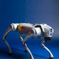cane robot go2 pro