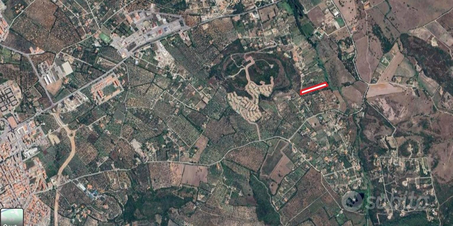 Oliveto di 8216 mq loc. Monte Carru - Vista 2