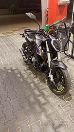 Rkf 125