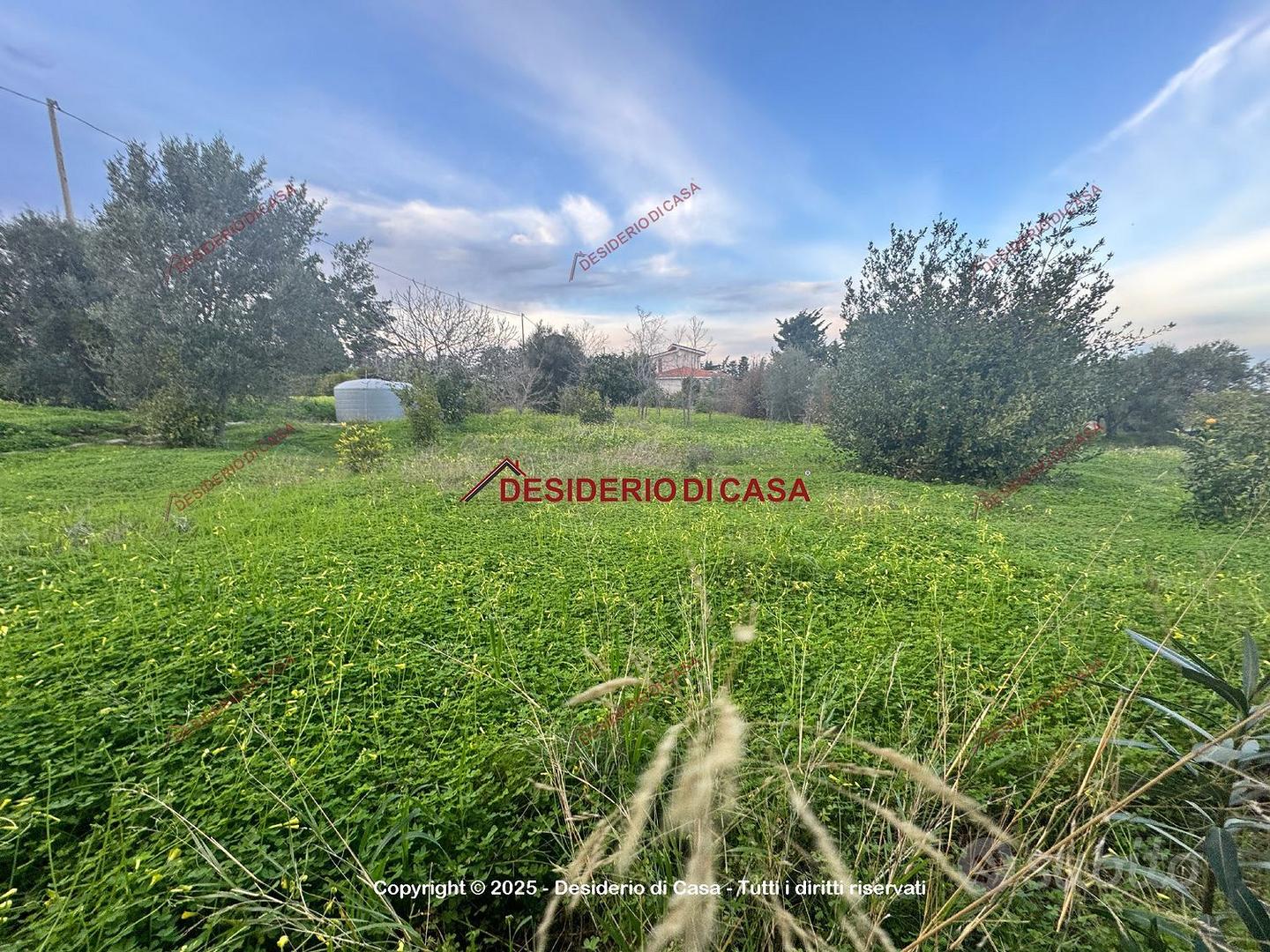 Terreno, Trabia. - Vista 2