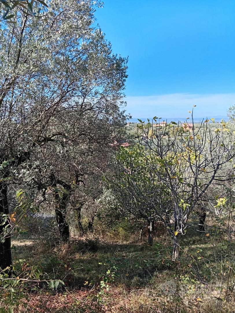 Terreno Uliveto - Vista 3