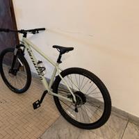 Bici Specialized