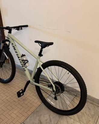 Bici Specialized