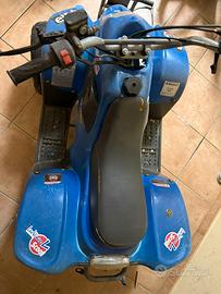 Quad yamaha
