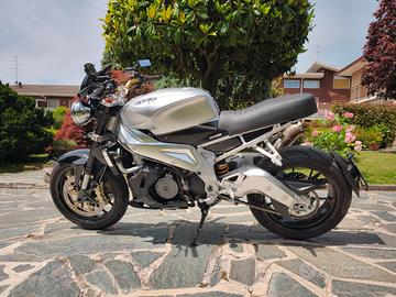 Aprilia tuono cafè Racer 