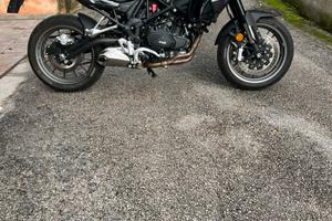 Benelli trk 502 2023