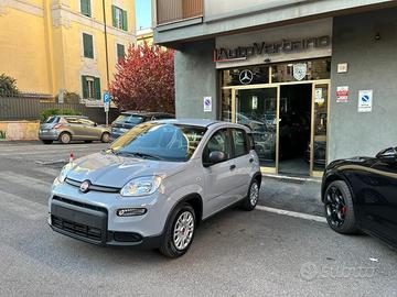 FIAT Panda 1.0 FireFly Hybrid -Pronta Consegna N