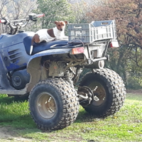 Quad polaris trail boss