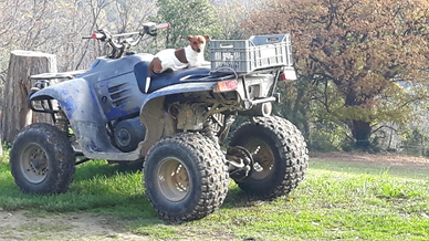 Quad polaris trail boss