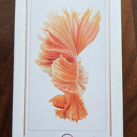 Scatola originale IPhone 6S rose Gold 64gb