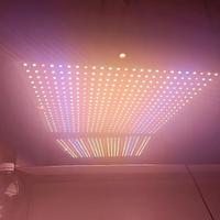 Lampada LED Per Crescita/Coltivazione Piante Luce