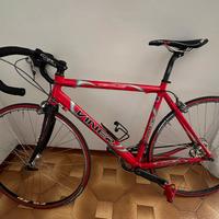 Viner Dedalus taglia L