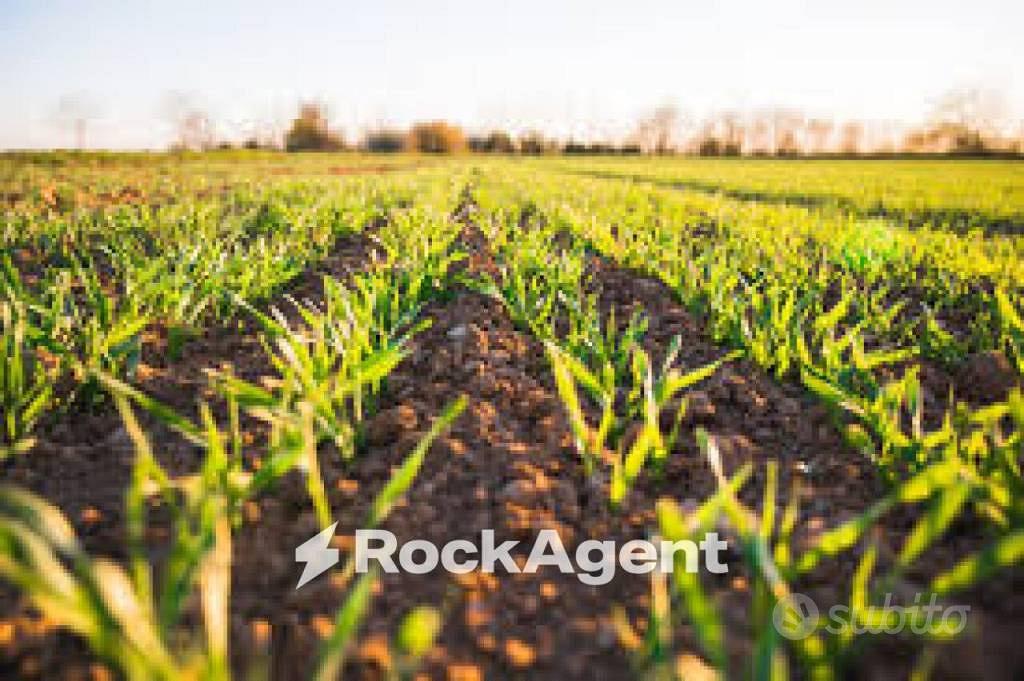 Terreno di 31284 m² a Codevigo - Altro