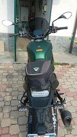 Benelli leoncino 800