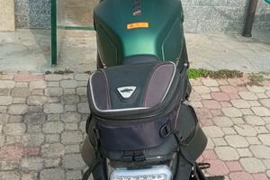 Benelli leoncino 800