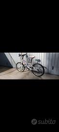 bicicletta