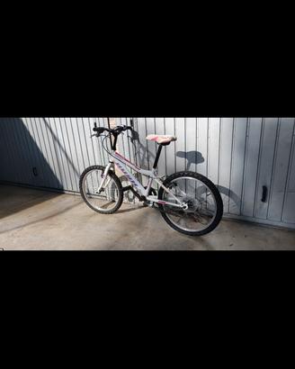 bicicletta