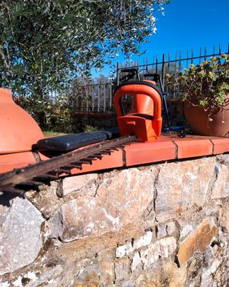 tagliasiepi elettrico oleo mac