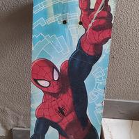 skateboard spiderman 