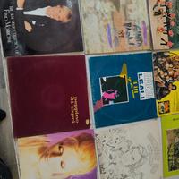 dischi in vinile 