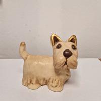 Cane Schnauzer Thun