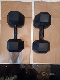 Manubri da 20 kg