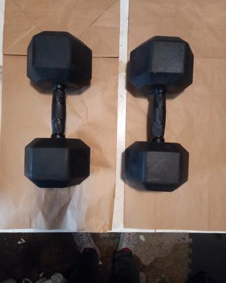 Manubri da 20 kg