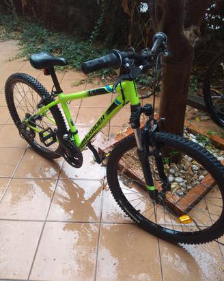 Bicicletta 