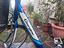 Immagine 3