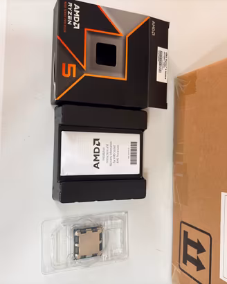 Amd ryzen 5 9600x