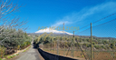 terreno-agricolo-con-piccolo-rudere