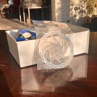 Freni a Disco - Force