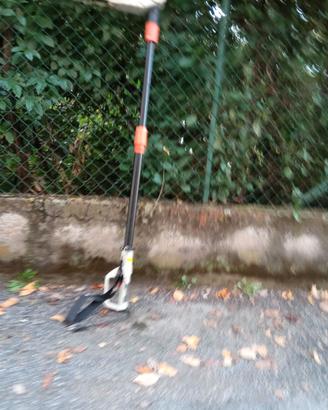 tagliasiepi e pompa irroratrice a spalla