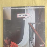 Vinile di pino danieie