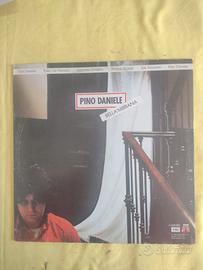 Vinile di pino danieie